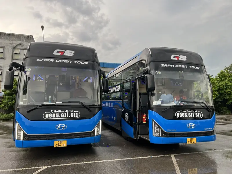 Xe Hà Nội – Sapa 2026: Giá vé, lịch chạy, top xe giường nằm limousine – cabin